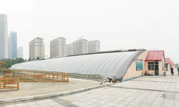 Mushroom & Fungi Cultivation Greenhouse