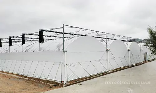Winter-Warm Sunlight Film Greenhouse 