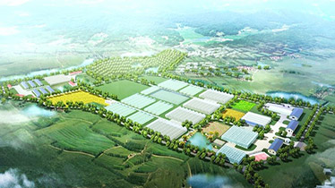 Greenhouse Design & Drawing Service